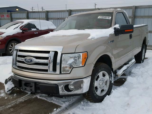 1FTNF1EV3AKE36345 - 2010 FORD F150 TAN photo 2