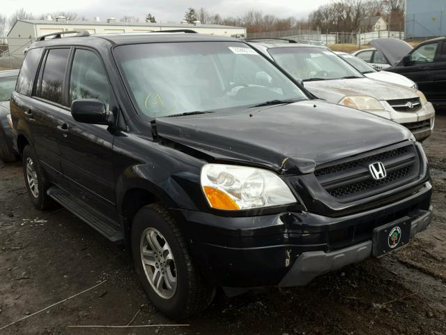 5FNYF185X5B038092 - 2005 HONDA PILOT EXL BLACK photo 1