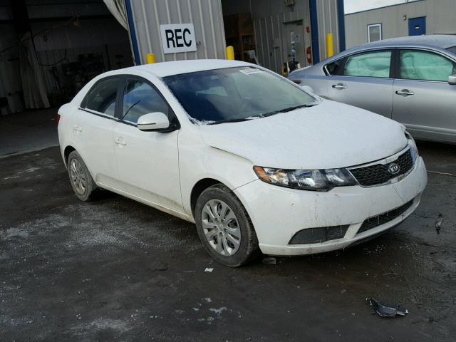 KNAFU4A24C5598233 - 2012 KIA FORTE EX WHITE photo 1