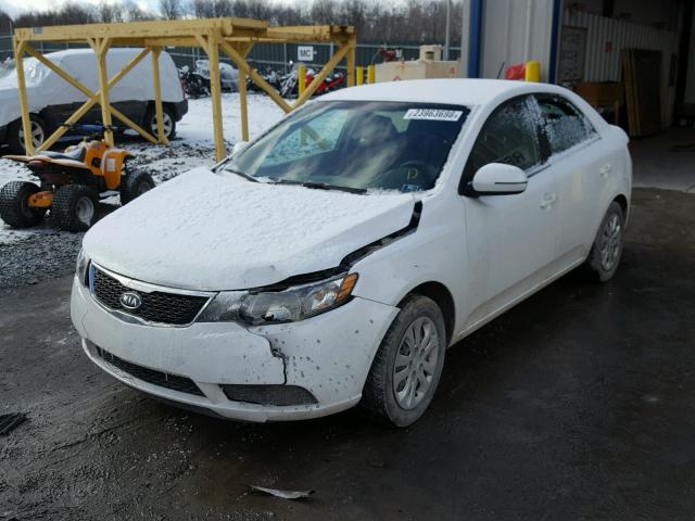 KNAFU4A24C5598233 - 2012 KIA FORTE EX WHITE photo 2