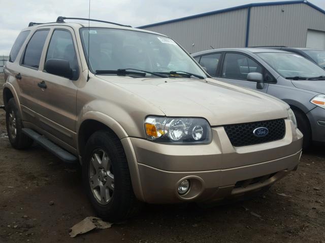 1FMCU03177KC03399 - 2007 FORD ESCAPE XLT TAN photo 1