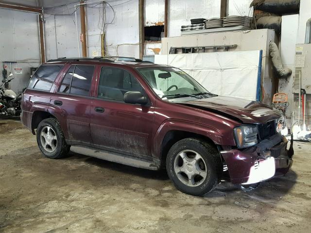 1GNDT13S162328382 - 2006 CHEVROLET TRAILBLAZE BURGUNDY photo 9