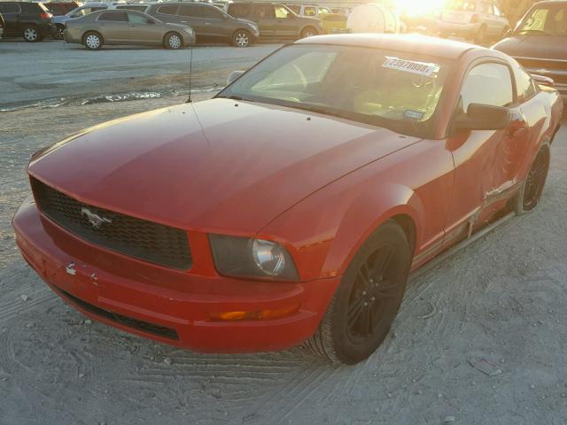 1ZVFT80N655120470 - 2005 FORD MUSTANG RED photo 2