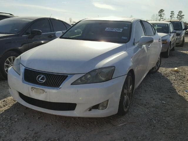 JTHBF5C26A5128764 - 2010 LEXUS IS 250 WHITE photo 2