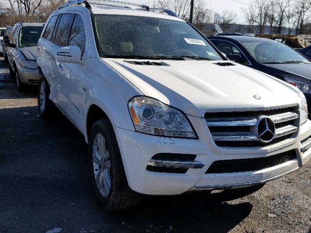 4JGBF2FE8BA645865 - 2011 MERCEDES-BENZ GL 350 BLU WHITE photo 1