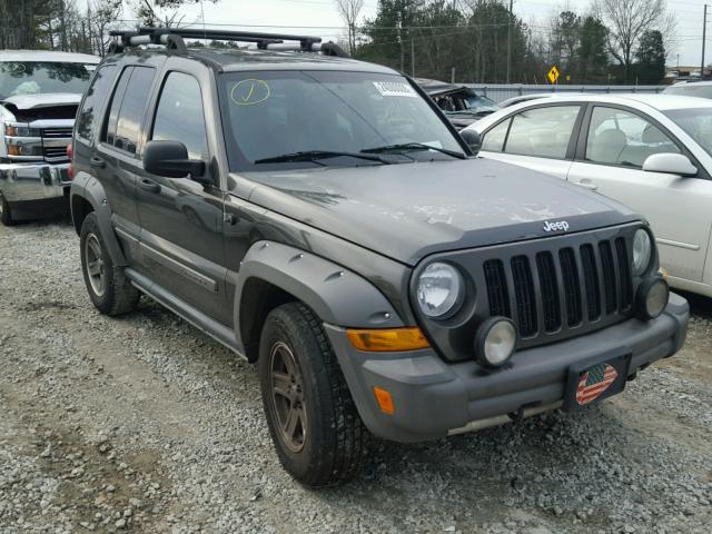 1J4GK38K55W548221 - 2005 JEEP LIBERTY RE GRAY photo 1