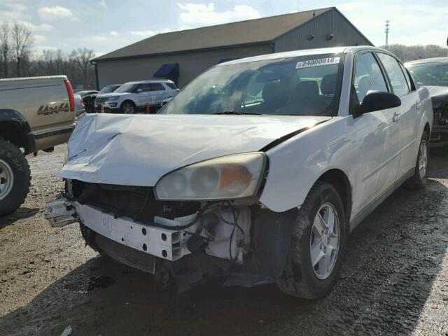 1G1ZT54885F142296 - 2005 CHEVROLET MALIBU LS WHITE photo 2