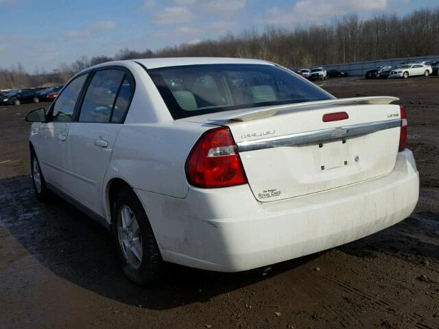 1G1ZT54885F142296 - 2005 CHEVROLET MALIBU LS 白色 照片 3