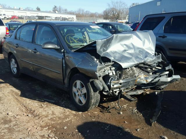 1G1ZT52885F304608 - 2005 CHEVROLET MALIBU LS GRAY photo 1