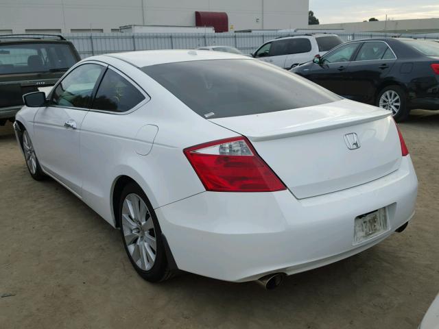 1HGCS22818A002952 - 2008 HONDA ACCORD EXL WHITE photo 3