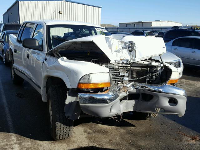 1D7HG48N84S740238 - 2004 DODGE DAKOTA QUA WHITE photo 1