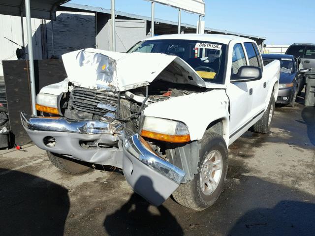 1D7HG48N84S740238 - 2004 DODGE DAKOTA QUA WHITE photo 2