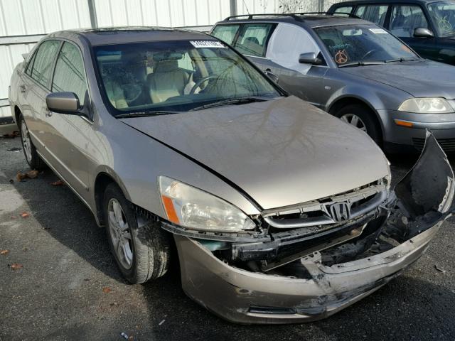 JHMCM56887C000380 - 2007 HONDA ACCORD EX GOLD photo 1