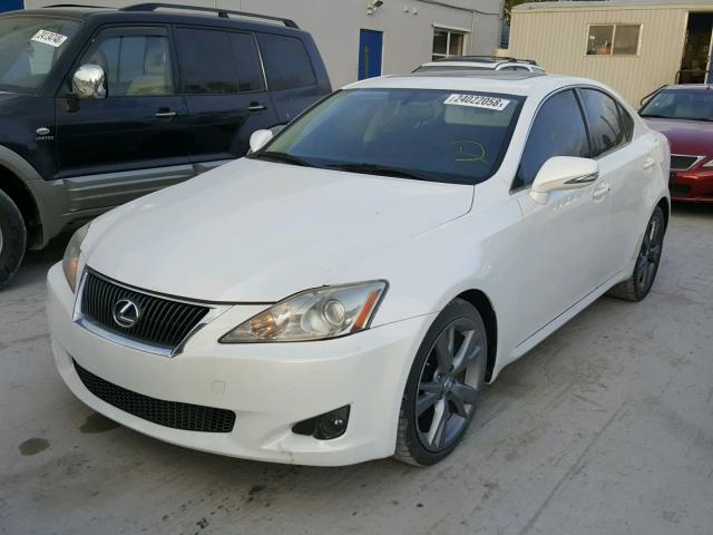 JTHBF5C24A5118637 - 2010 LEXUS IS 250 WHITE photo 2