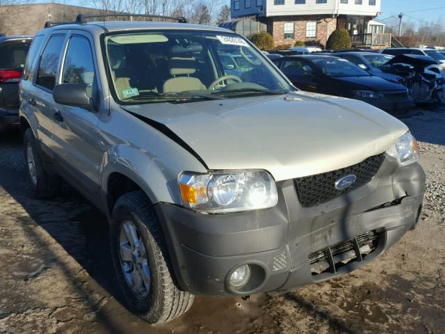 1FMYU93Z75KD90396 - 2005 FORD ESCAPE XLT BEIGE photo 1