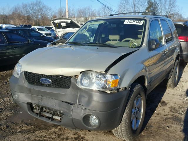 1FMYU93Z75KD90396 - 2005 FORD ESCAPE XLT BEIGE photo 2