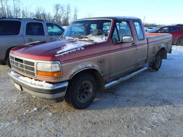 1FTEX15N6RKA15101 - 1994 FORD F150 TWO TONE photo 2