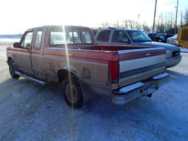 1FTEX15N6RKA15101 - 1994 FORD F150 TWO TONE photo 3