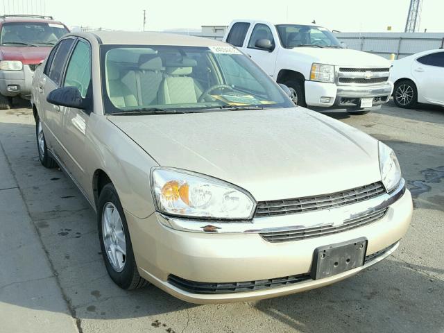 1G1ZT54875F216601 - 2005 CHEVROLET MALIBU LS GOLD photo 1