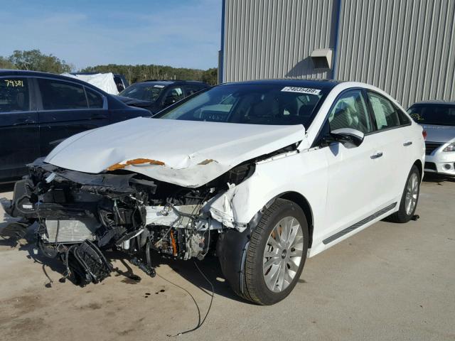 5NPE34AF9FH049037 - 2015 HYUNDAI SONATA SPO WHITE photo 2