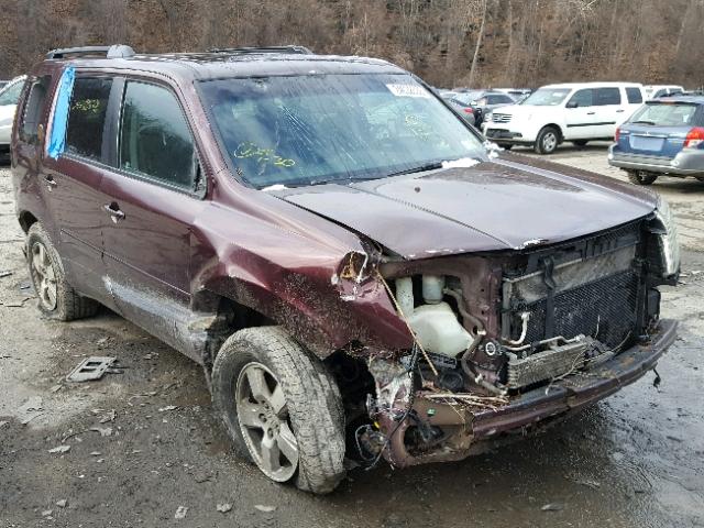 5FNYF48549B018444 - 2009 HONDA PILOT EXL MAROON photo 1