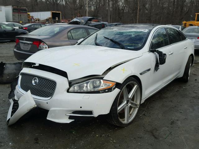 SAJWA2GB5BLV16318 - 2011 JAGUAR XJL WHITE photo 2