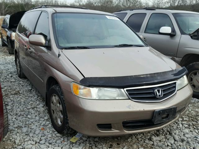 5FNRL188X4B091235 - 2004 HONDA ODYSSEY EX GOLD photo 1