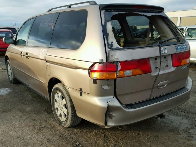 5FNRL189X3B085183 - 2003 HONDA ODYSSEY EX TAN photo 3