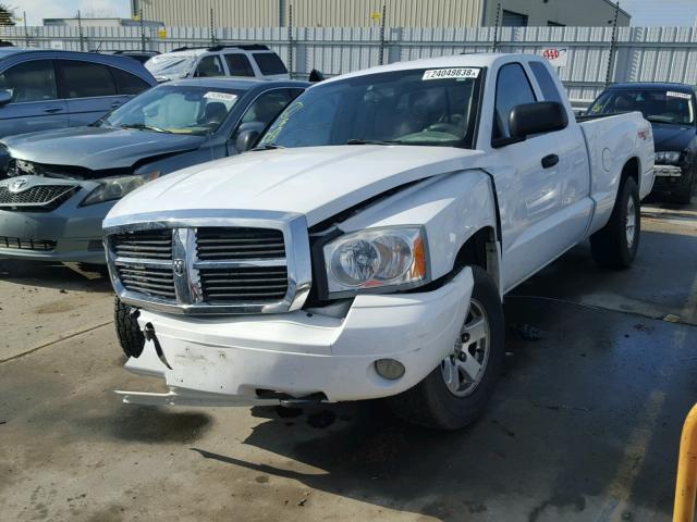 1D7HW42N87S176719 - 2007 DODGE DAKOTA SLT WHITE photo 2