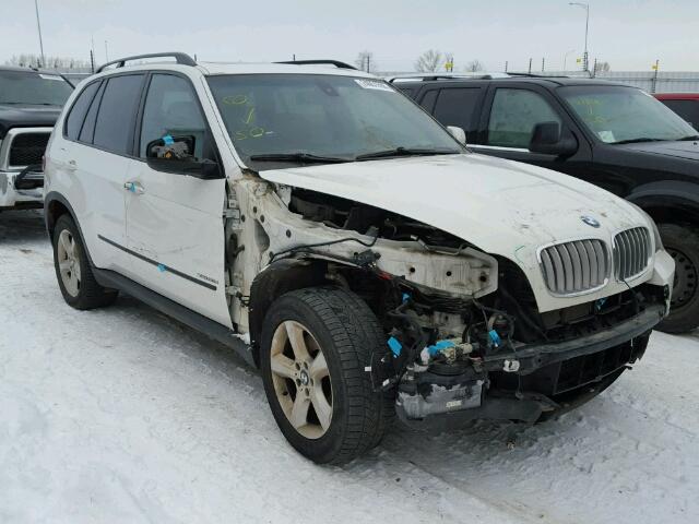 5UXFF03509LJ95821 - 2009 BMW X5 XDRIVE3 Ақ фото 1