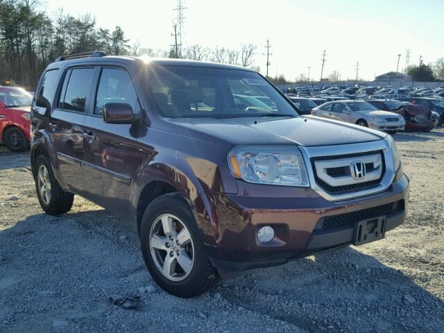 5FNYF3H51BB012360 - 2011 HONDA PILOT EXL BURGUNDY photo 1