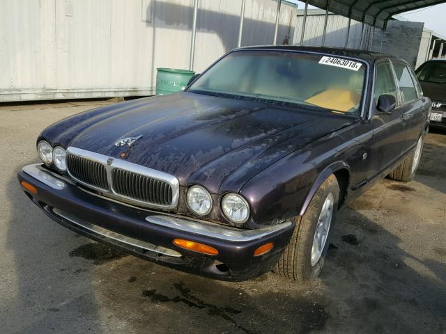 SAJHN1245WC837961 - 1998 JAGUAR XJ8 PURPLE photo 2