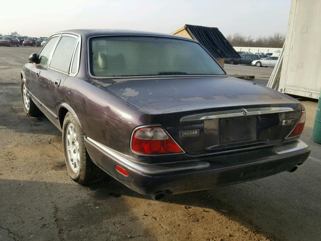 SAJHN1245WC837961 - 1998 JAGUAR XJ8 PURPLE photo 3