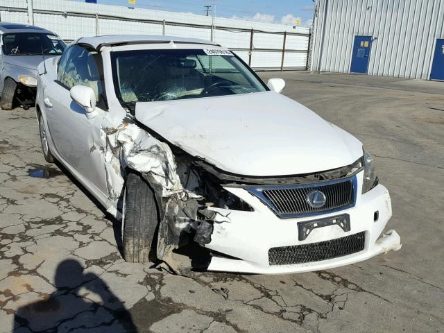 JTHFF2C26A2512142 - 2010 LEXUS IS 250 WHITE photo 1