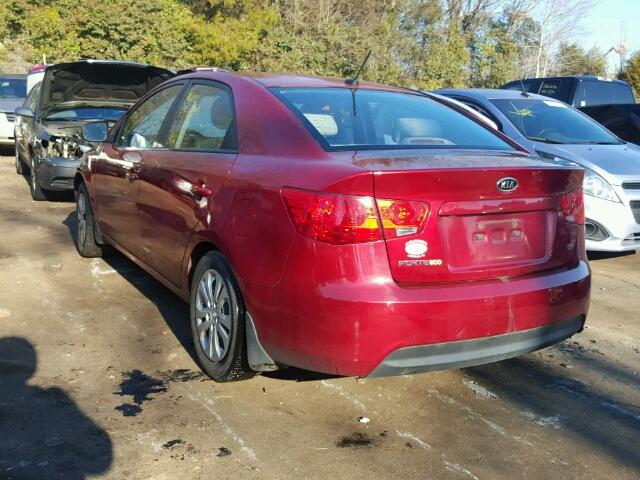 KNAFU4A23B5395851 - 2011 KIA FORTE EX RED photo 3