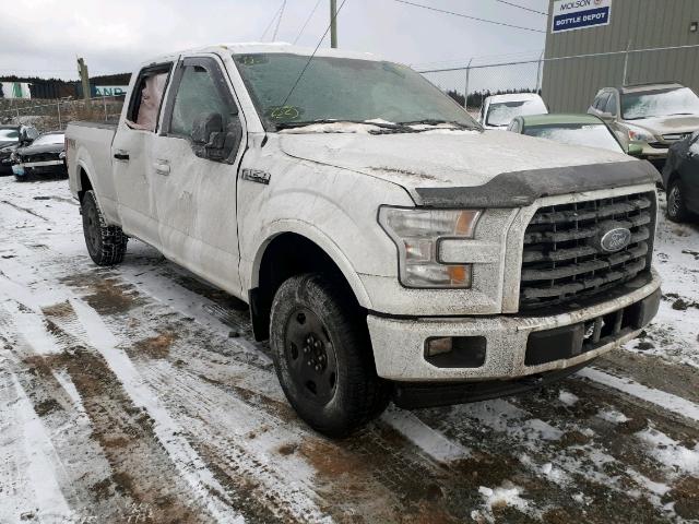 1FTFW1EF9HFC25232 - 2017 FORD F150 SUPER WHITE photo 1