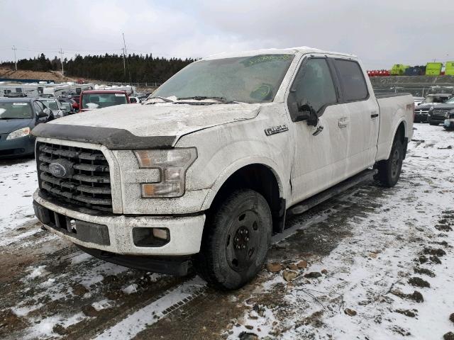 1FTFW1EF9HFC25232 - 2017 FORD F150 SUPER WHITE photo 2