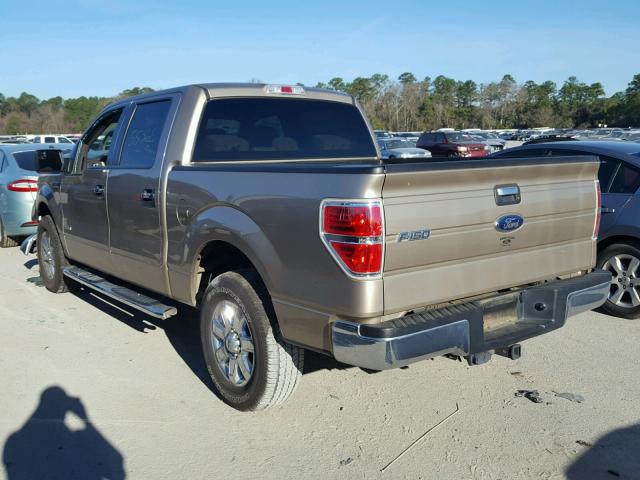 1FTFW1CTXDFD00524 - 2013 FORD F150 SUPER TAN photo 3