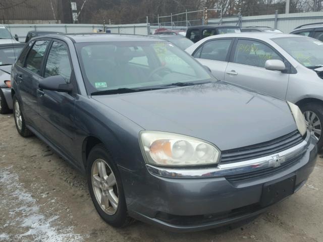 1G1ZT64875F224347 - 2005 CHEVROLET MALIBU MAX GRAY photo 1