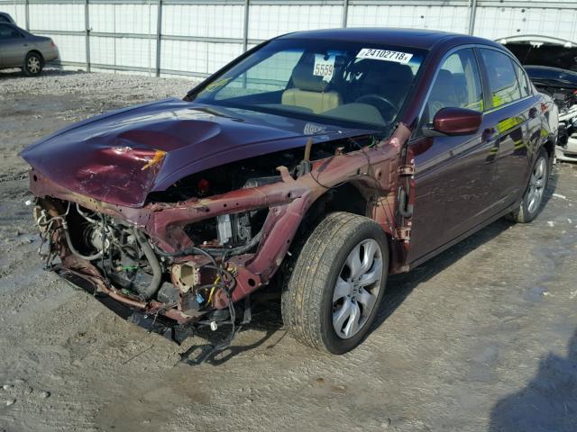 1HGCP26829A108534 - 2009 HONDA ACCORD EXL MAROON photo 2