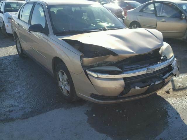 1G1ZT52805F226681 - 2005 CHEVROLET MALIBU LS BEIGE photo 1