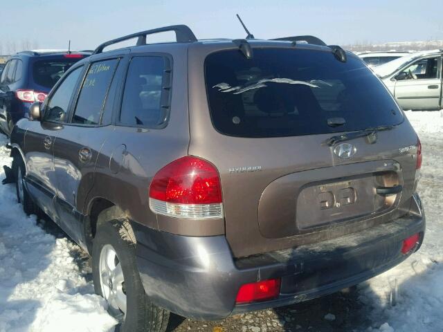 KM8SB13DX6U062896 - 2006 HYUNDAI SANTA FE G BROWN photo 3