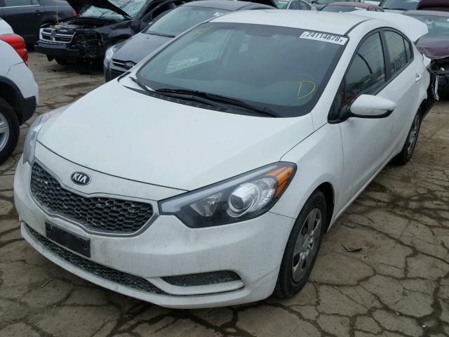 KNAFK4A67G5475721 - 2016 KIA FORTE LX WHITE photo 2