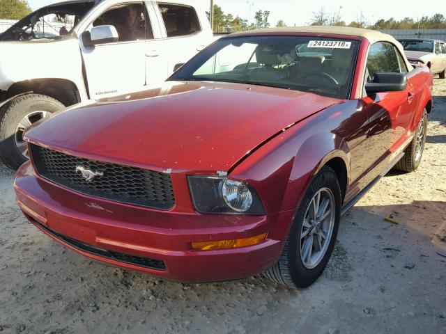 1ZVHT84N755257937 - 2005 FORD MUSTANG RED photo 2