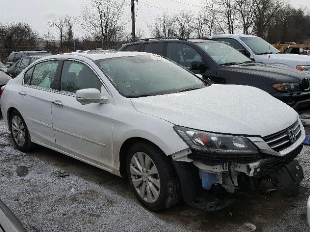 1HGCR2F88EA085930 - 2014 HONDA ACCORD EXL WHITE photo 1