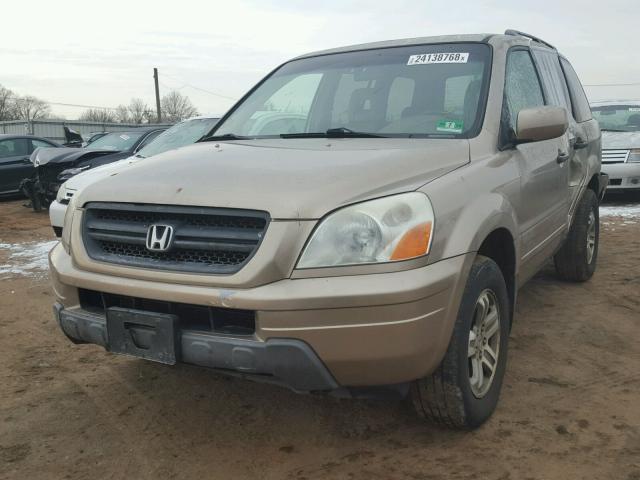 5FNYF18585B042237 - 2005 HONDA PILOT EXL BEIGE photo 2