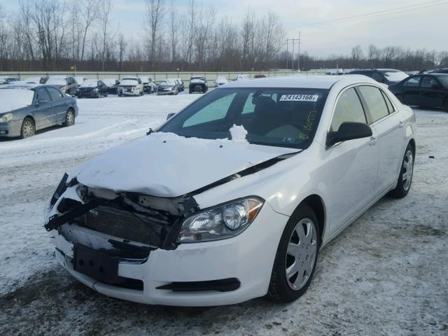1G1ZB5E1XBF155163 - 2011 CHEVROLET MALIBU LS თეთრი ფოტო 2
