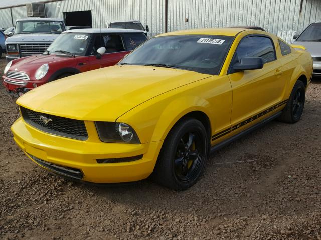 1ZVFT80NX55198959 - 2005 FORD MUSTANG YELLOW photo 2