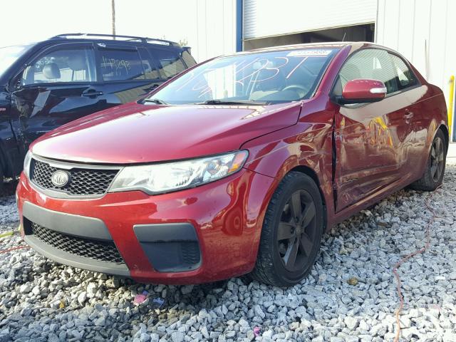 KNAFU6A26A5168227 - 2010 KIA FORTE EX RED photo 2