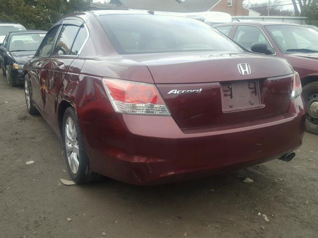 1HGCP26868A004997 - 2008 HONDA ACCORD EXL BURGUNDY photo 3